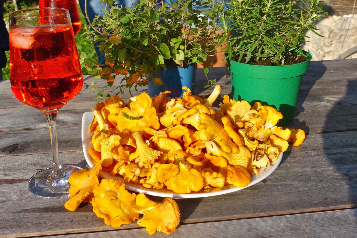 Les chanterelles, nous les appelons "Eierschwammerl" (champignons d'œuf) en raison de leur couleur jaune vif, fraîchement sorties de notre forêt