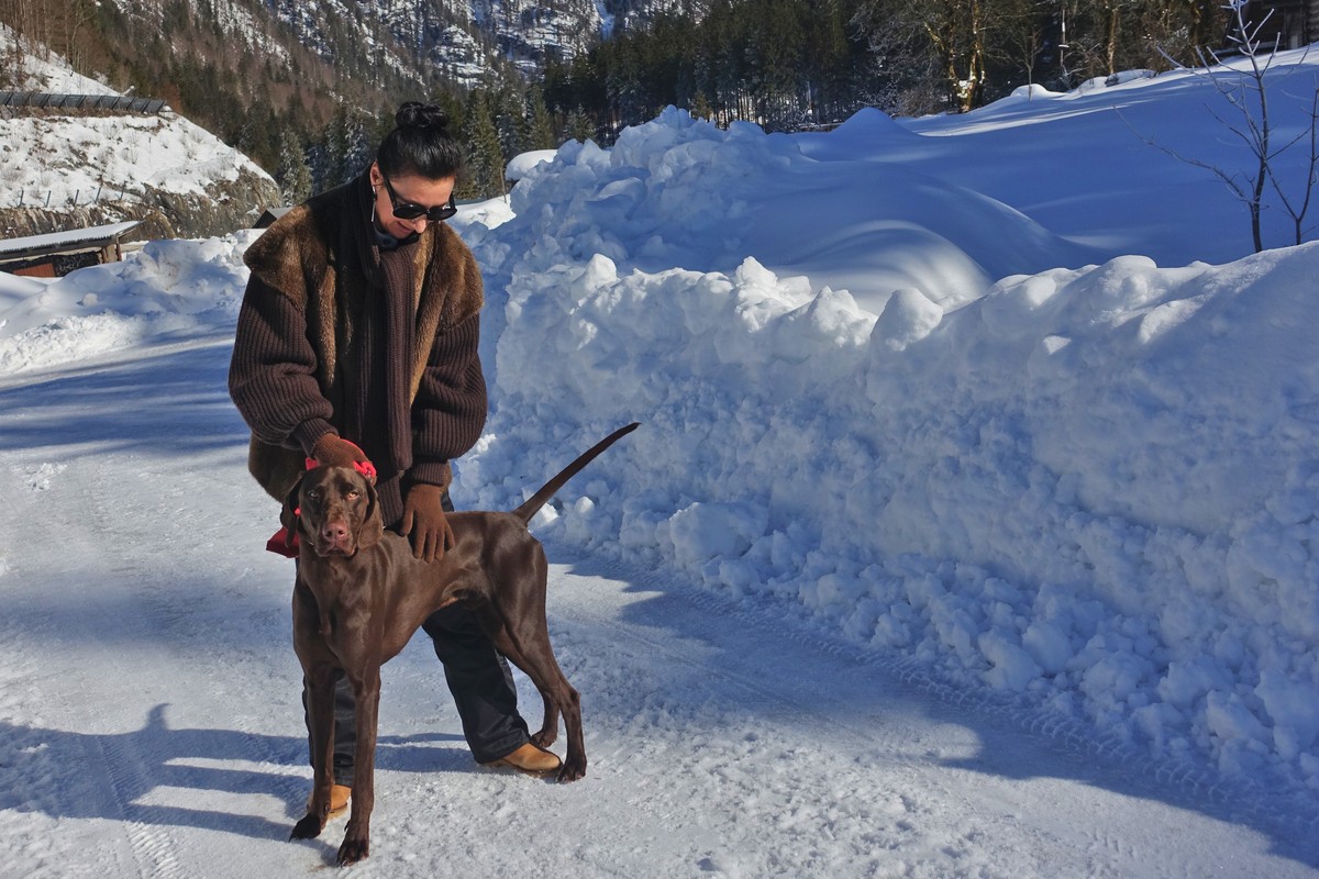 We are also happy to do dog sitting while you go skiing | © Almchalet Goldbergleiten