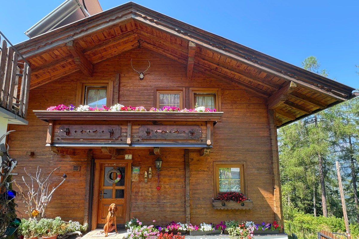 Báró, a beautiful Hungarian Vizsla hunting dog, sits proudly in front of our chalet | © Almchalet Goldbergleiten