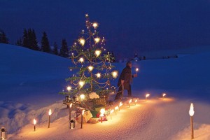 Christbaum im Schnee;  © Ernst-Peter Prokop, Nationalpark Hohe Tauern