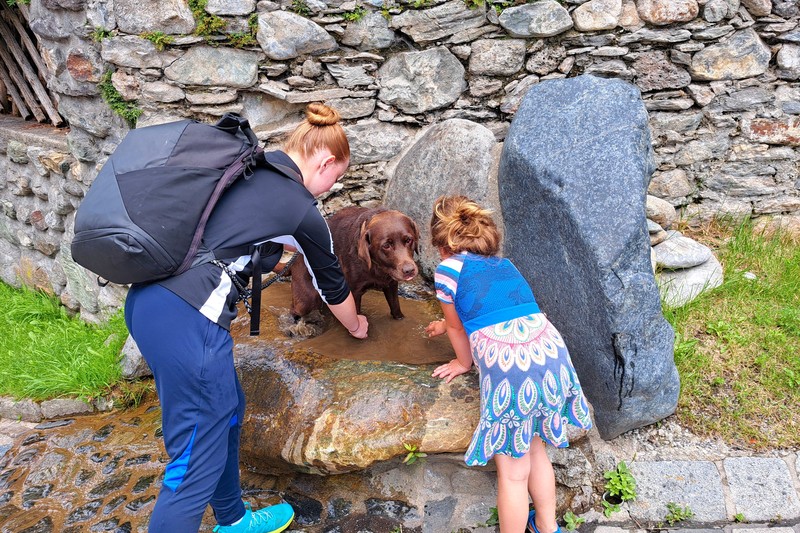 Honden wassen bij de dorpsfontein - welkome afkoeling midden in de zomer