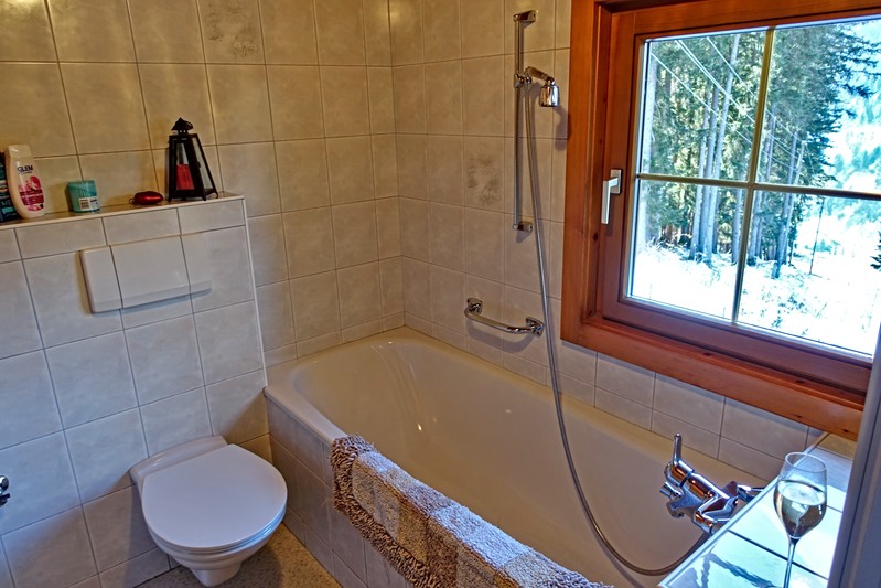 Bright bathroom with bathtub and extra shower cubicle