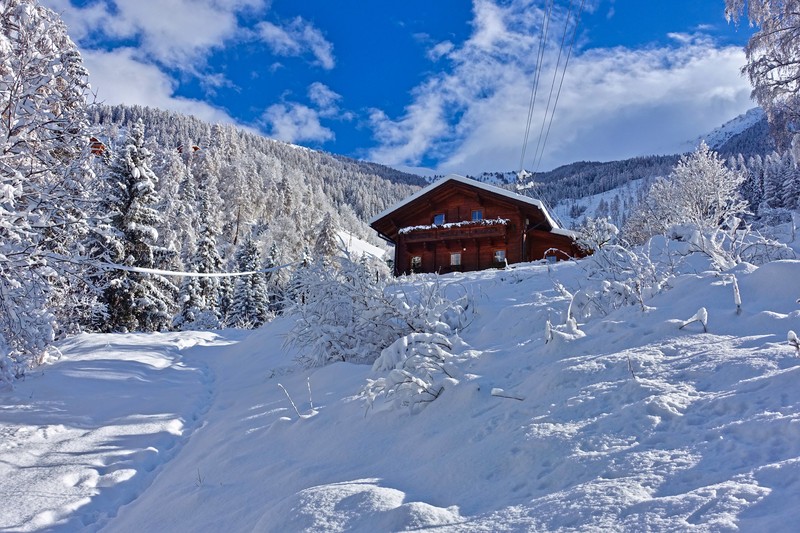 Naše alpská chata se nachází na slunném, odlehlém místě na okraji lesa