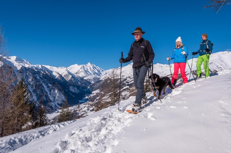 Snowshoe hike with the national park ranger: Your dog is allowed with you