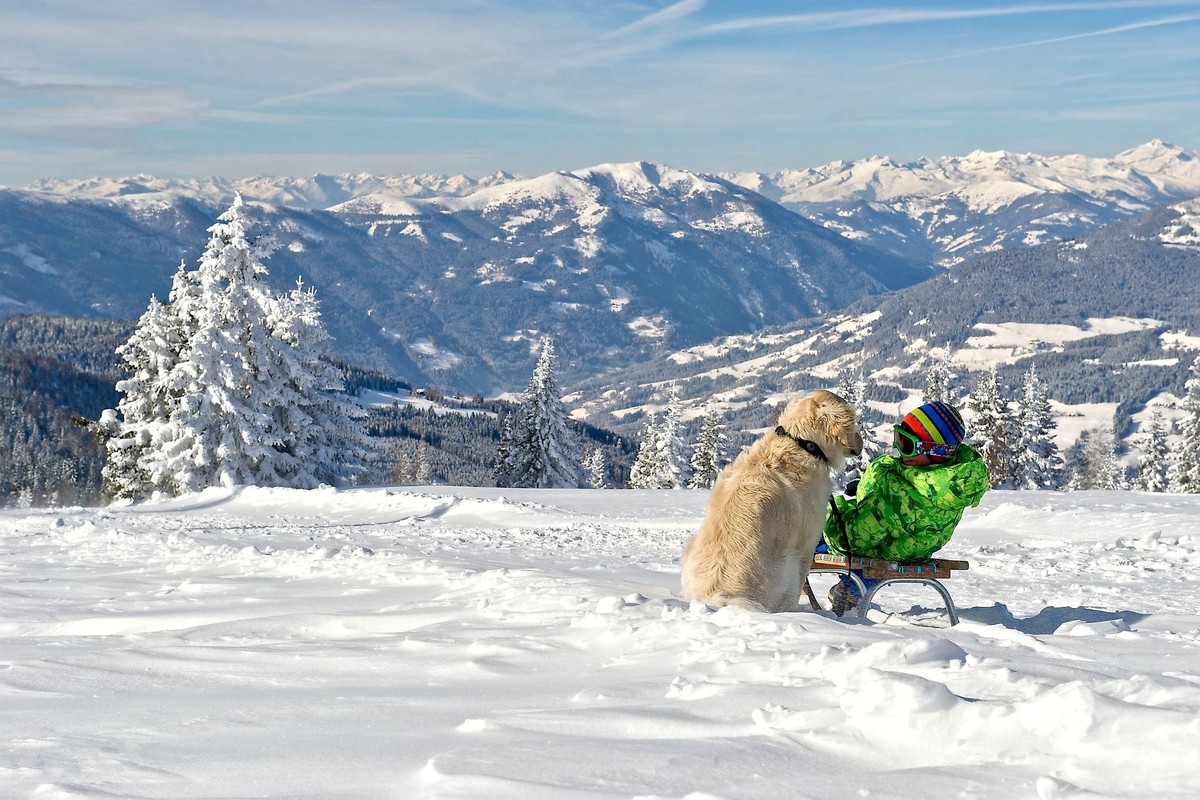 Winterpanorama mit Hund