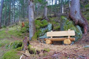 In unserem Bergwald findest Du Kraftplätze, direkt bei der Hütte | © Almchalet Goldbergleiten