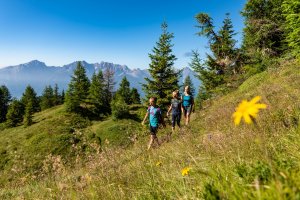 Gemütliche Familienwanderung durch unsere Almen | © Franz Gerdl, Nationalpark Hohe Tauern